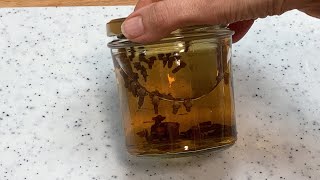 Clove Vinegar - for those who don't like biting on a clove...
