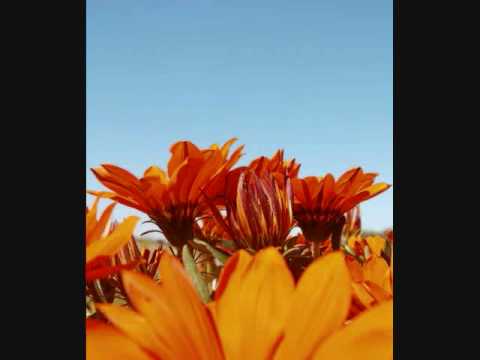 NAIN TERE JHUKE JHUKE - KUMAR SANU