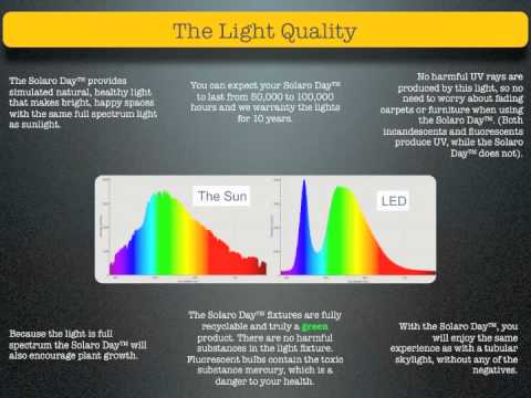  Fashioned Light Bulbs on Incandescent Light Bulbs  What To Do Now    Worldnews Com