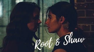 SHAW & ROOT × Surrender