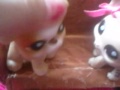 Droga Do Piek A Odcinek 1 Lps