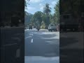 Funny animals...rooster vs pig.
