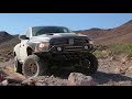 ram
