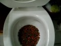 view Wasteful