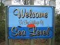 Sea Level...Canine Man