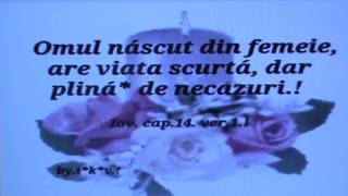 Doamne Marei Slava Ta Andrei Cocis Doamne Marei Slava Ta Andrei Cocis