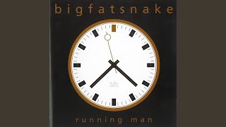 Watch Big Fat Snake Need Another Lovesong video