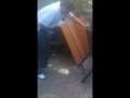 Da bomb hot sauce, best reaction, challenge, ground zero