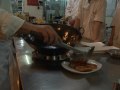 Foie gras, the latest Chinese luxury