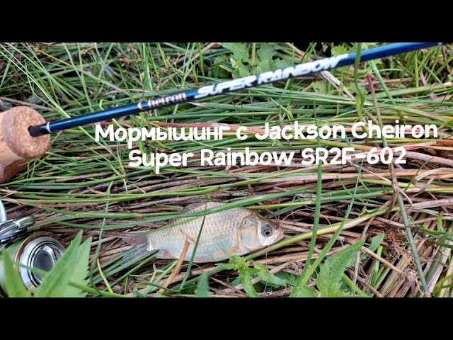 Jackson cheiron super rainbow sr2f602