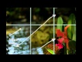 Photo Tips: Photography Composition  Rule of Thirds Technique By Crea8fotos