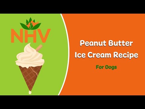 Recipe: Peanut Butter Dog Ice Cream