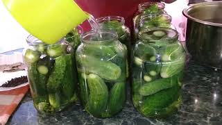 маринованные огурцы с лимонной кислотой маринованные огурцы с лимонной кислотой
