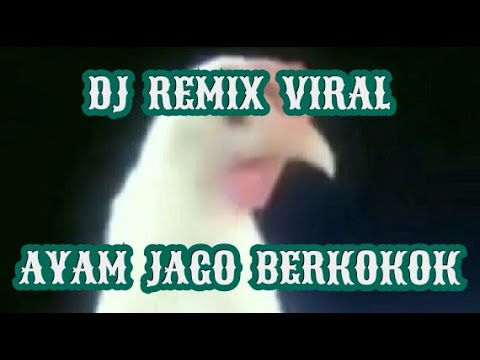 DJ REMIX VIRAL AYAM JAGO BERKOKOK | KOKOK AYAM JANTAN REMIX VIRAL