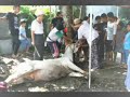 image Foto Alm Bapak Mugeni Bin H Muhammad