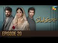 Mere Damad - Episode 20 - Noor Khan - Humayun Ashraf - 20th January 2023 - HUM TV