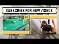 Little Girl Controls Pit Bull Dogs | Future Dog Trainer
