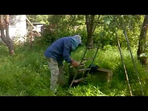 Ловля роев новые видео за 2018 год Ловля роев новые видео за 2018 год