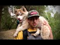Cambiamos mascotas para acampar. Cambio y Fuera Cap 4.