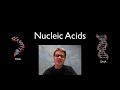 Nucleic Acids