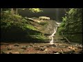 Ferne Clyffe State Park - Ferne Clyffe Waterfalls - Illinois Waterfalls