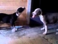 Video porno parte 1