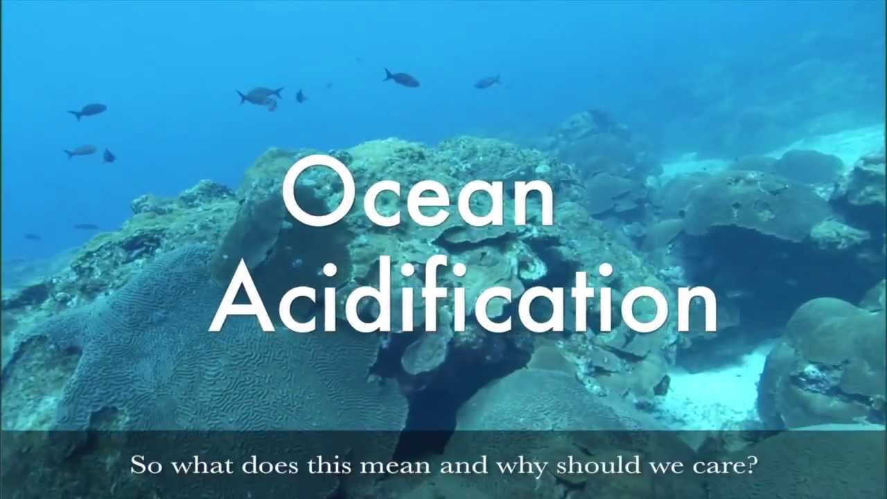 Acidification