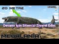 Nesli Tükendiği İçin Şükretmemiz Gereken 7 Hayvan