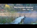 Тихое время с Живой Жизнью: Псалом 12 (13112016) Тихое время с Живой Жизнью: Псалом 12 (13112016)