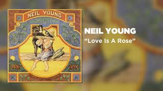 Watch Neil Young Love Is A Rose video