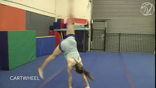 Cartwheel (Testing skill)