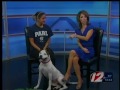 Rescue a Pet -- Billy Holiday
