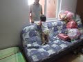 BiBi 15 tháng