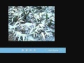 【歌ってみた】Hilcrhyme 春夏秋冬 カラオケBy Inycrhyme
