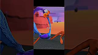 Woodpecker Vs Roadrunner