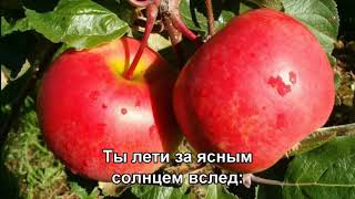 Катюша - Дмитрий Хворостовский (9.5.2016) (Subtitles)