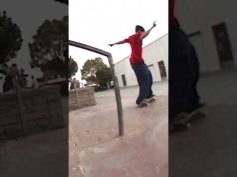 Chris Cole Big Varial Heelflip Rail Classic Skateboarding Shorts