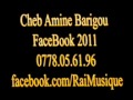 Cheb Amine Barigou - FaceBook 2011- by RaiMusique