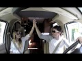 Surfing USA: CALIFORNIA [Part 1] - LuzuVlogs