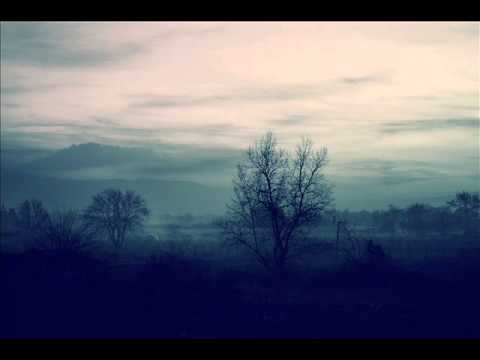 Flying Music Video