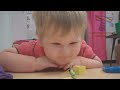 Super HARD TRY NOT TO LAUGH CHALLENGE - Funny ANIMAL compilation