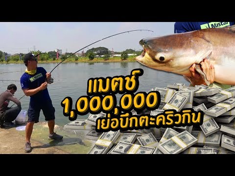 สวายแข่งเงินล้าน 1,000,000 บาท บึงมารวย Fishing for 1 million Baht!