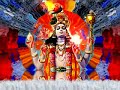 VISHNU DARSHAN