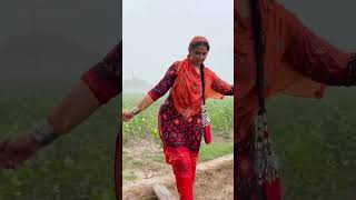 Aliza Sehar Vlogs