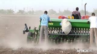 Ghana, Production De 1,2 Million De Tonnes De Riz À Lhorizon 2023