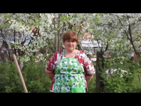 Школа авалон фильм 2018 Школа авалон фильм 2018