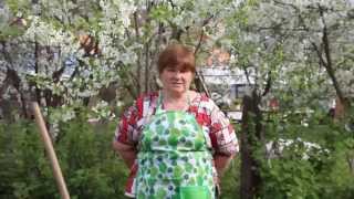 Сад и огород юлия минеева новый выпуск 2018 г Сад и огород юлия минеева новый выпуск 2018 г