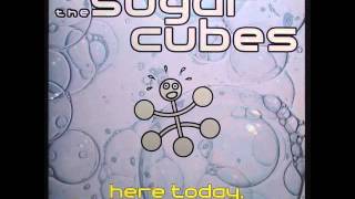 Watch Sugarcubes Shoot Him video