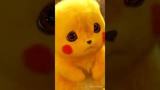 Pikka Pikka Chu