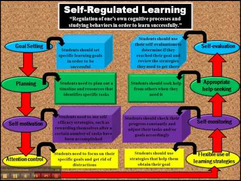 self regulation of learning self regulation of learning